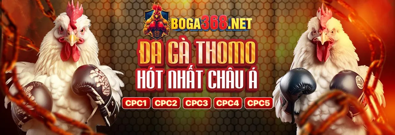 Đá gà trực tuyến bị88 – Trận đấu kịch tính
